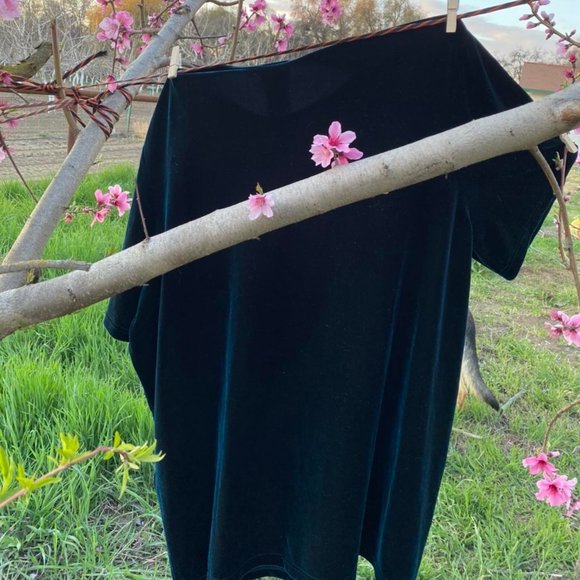 Koret Velvet Top - Picture 3 of 4